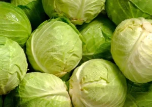 Manfaat sayur kol bagi kesehatan tubuh